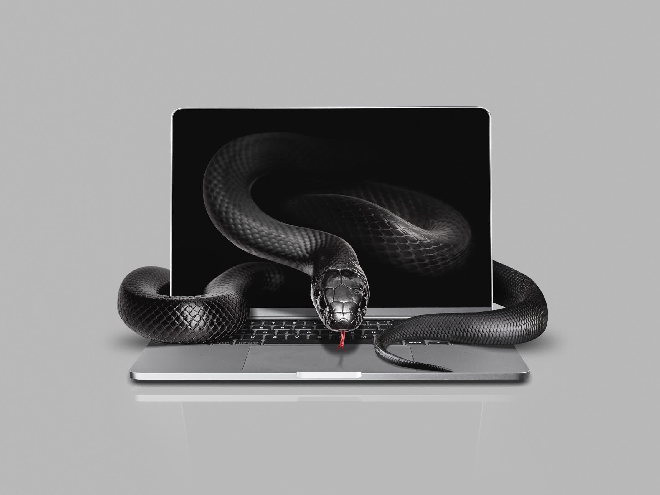 CYBERCRIME - DIE ZEIT.jpg