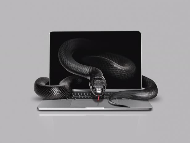 Cybercrime / Die Zeit