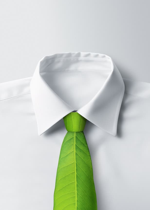 Green Business / Cambio