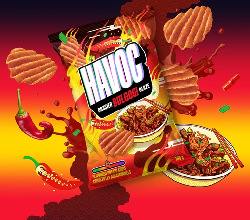 Havoc-Bulgogi-Blaze-Packaging-Artwork.jpg