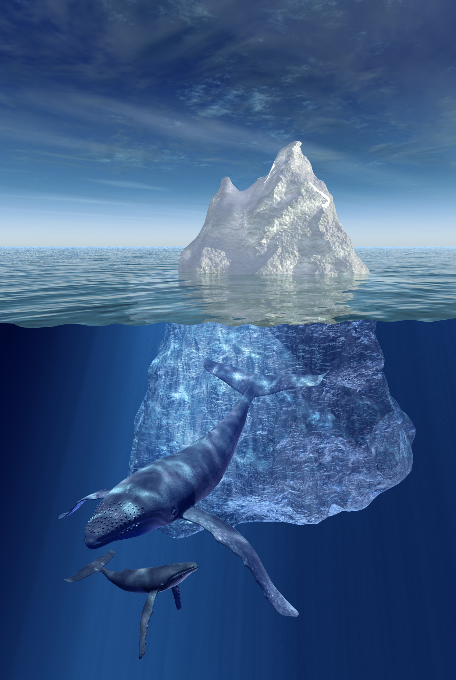 Iceberg Whale Underwater