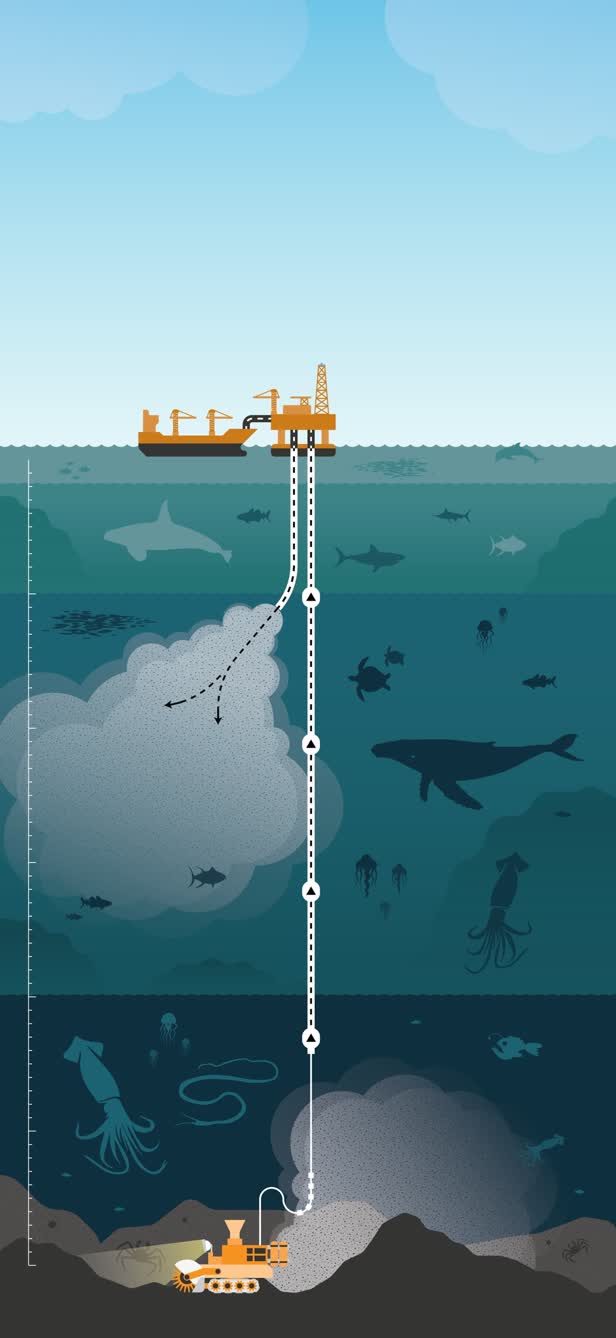 Deep sea mining / The Observer Magazine