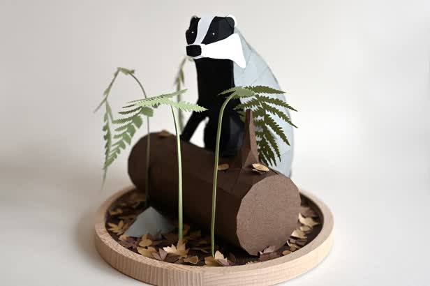 Paper Badger