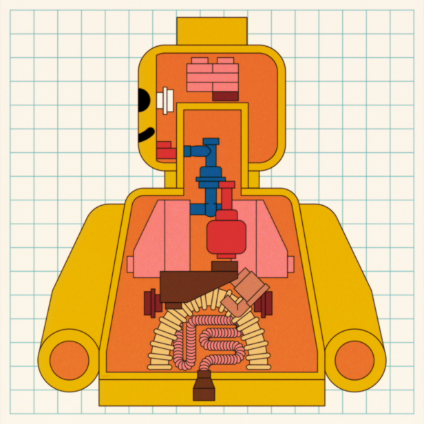 LEGO Anatomy System