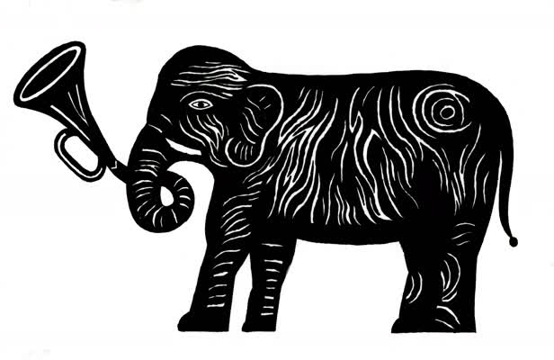 Elephant