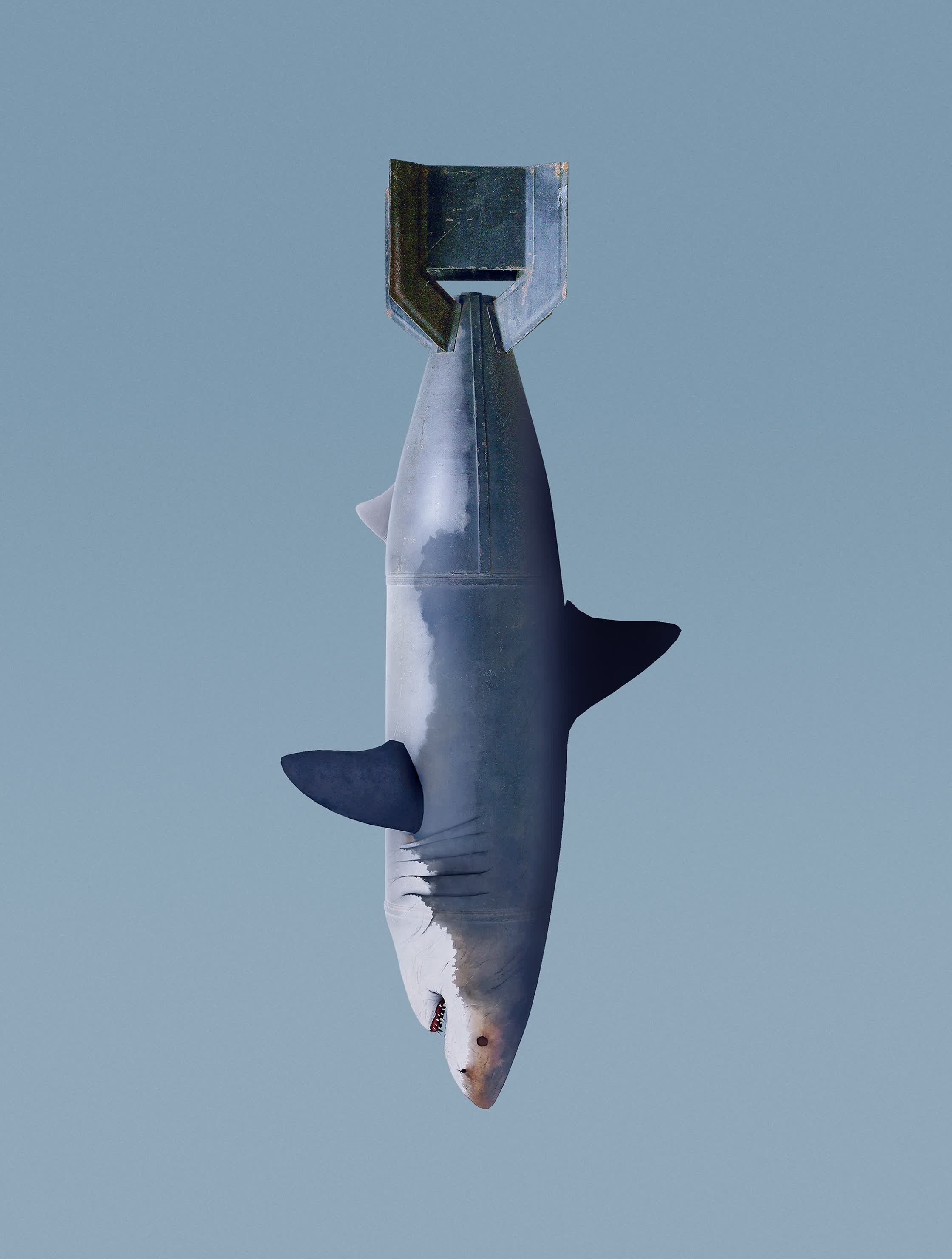 SHARK BOMB - PERSONAL.jpg