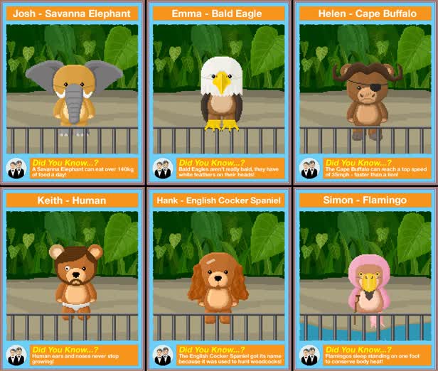 Bruised Teddy Bear Zoo