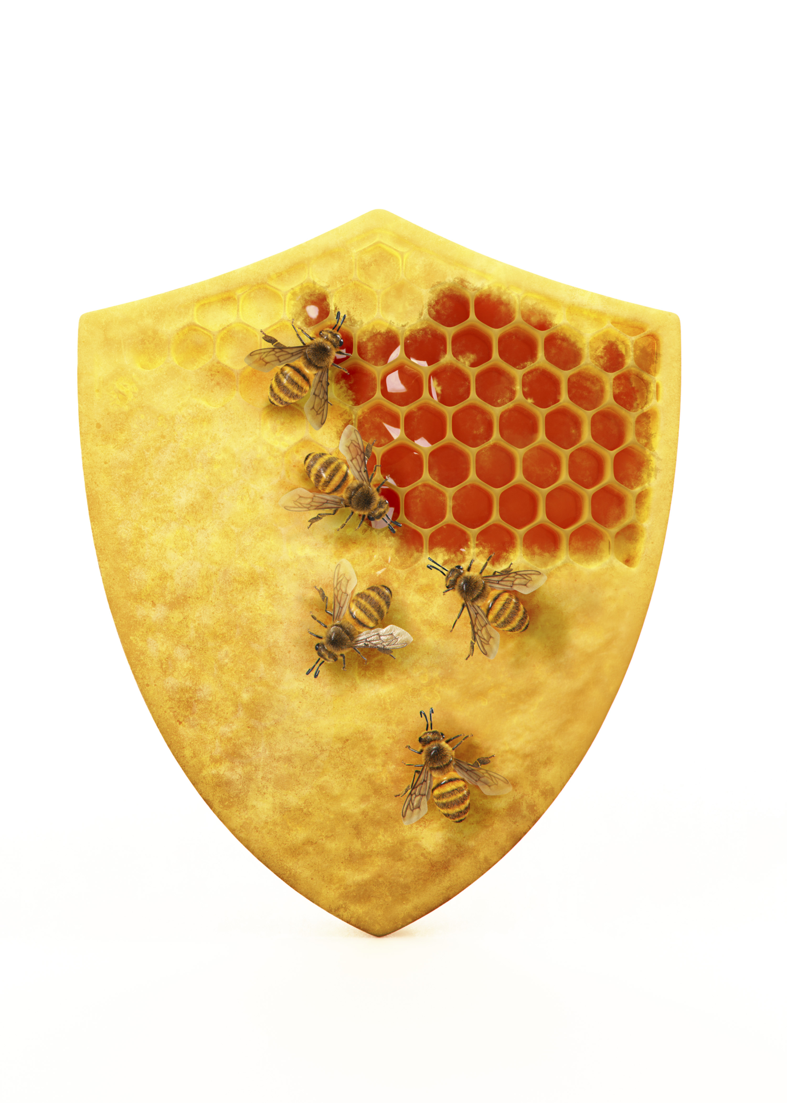 Honeycomb Security Bees Honey Men's Health Magazine