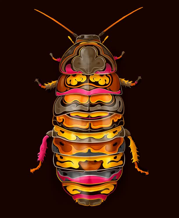 Cockroach