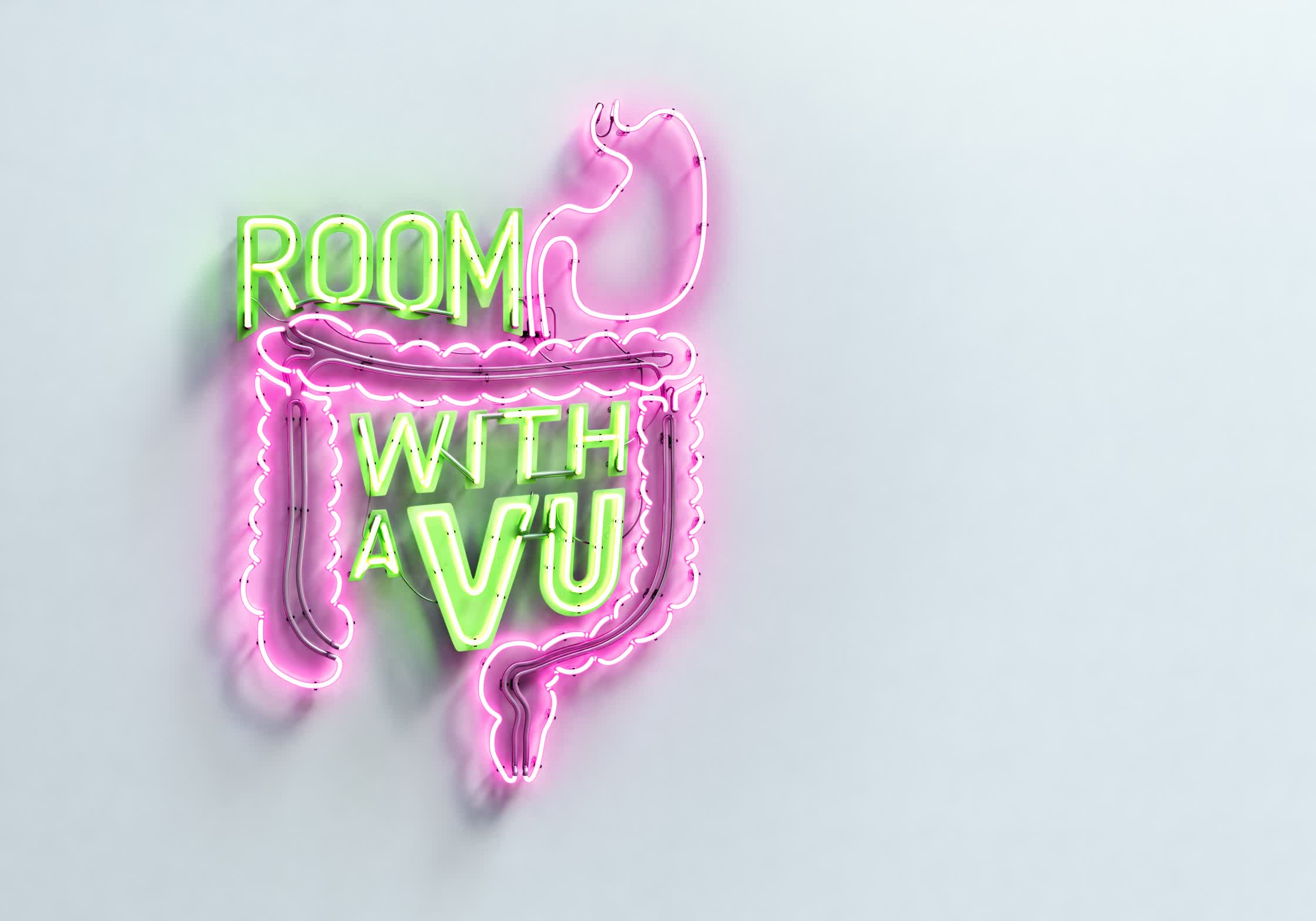 ROOM_WITH_A_VU_REVISED_03.jpg