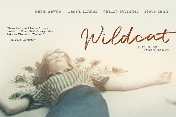 Wildcat / Oscilloscope