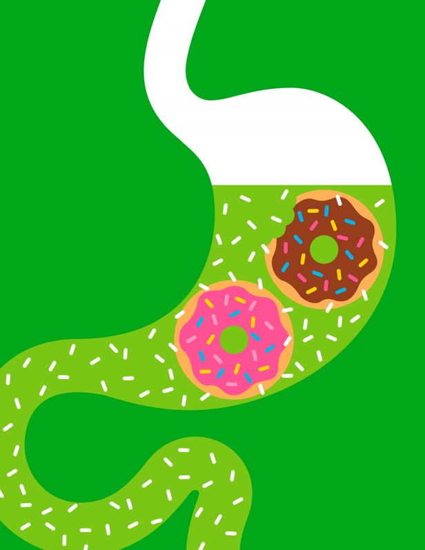Gut Microbes