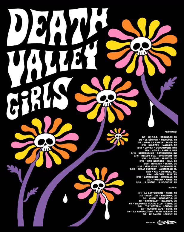 Death Valley Girls Rock Poster