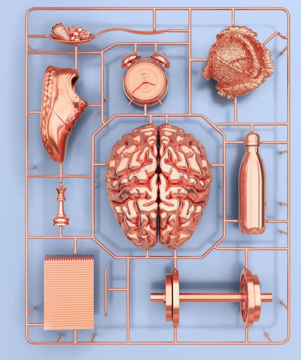 Brains