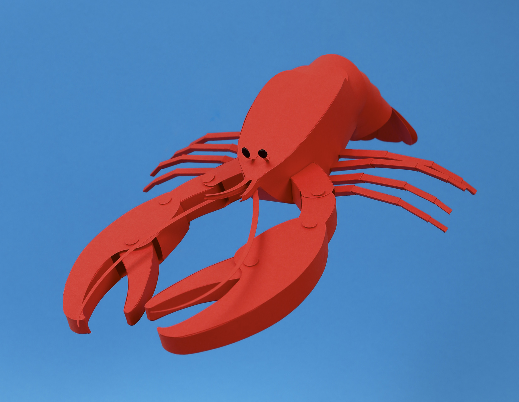 Lobster / Ted Baker