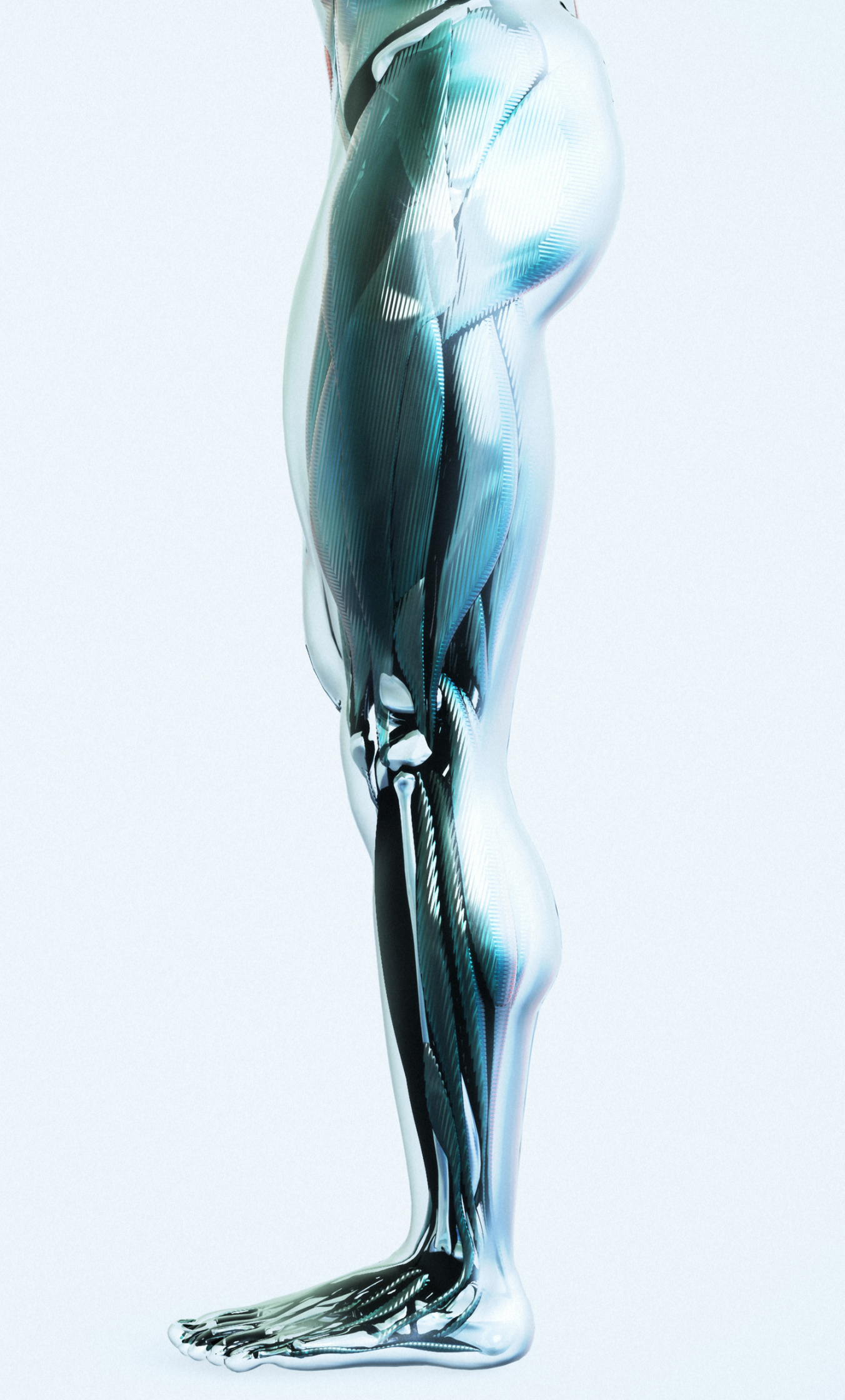 Leg Muscles / Mens Health Magazine