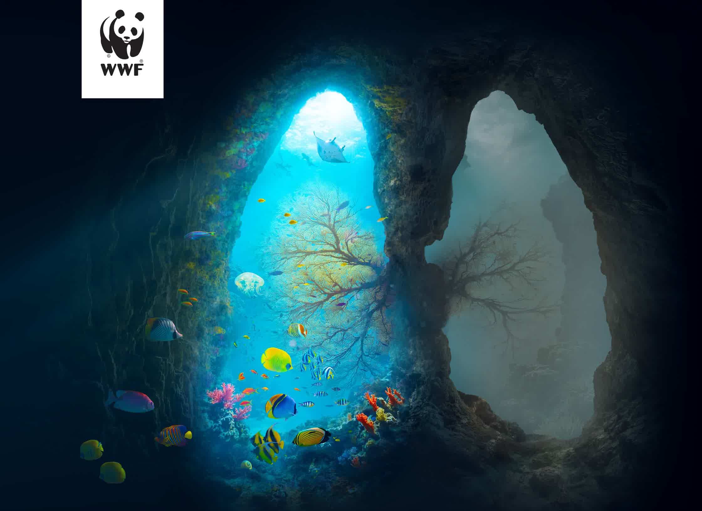 WWF_Oceans.jpg