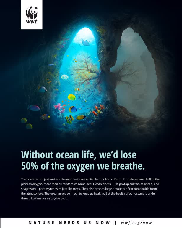 Oceans / World Wildlife Fund