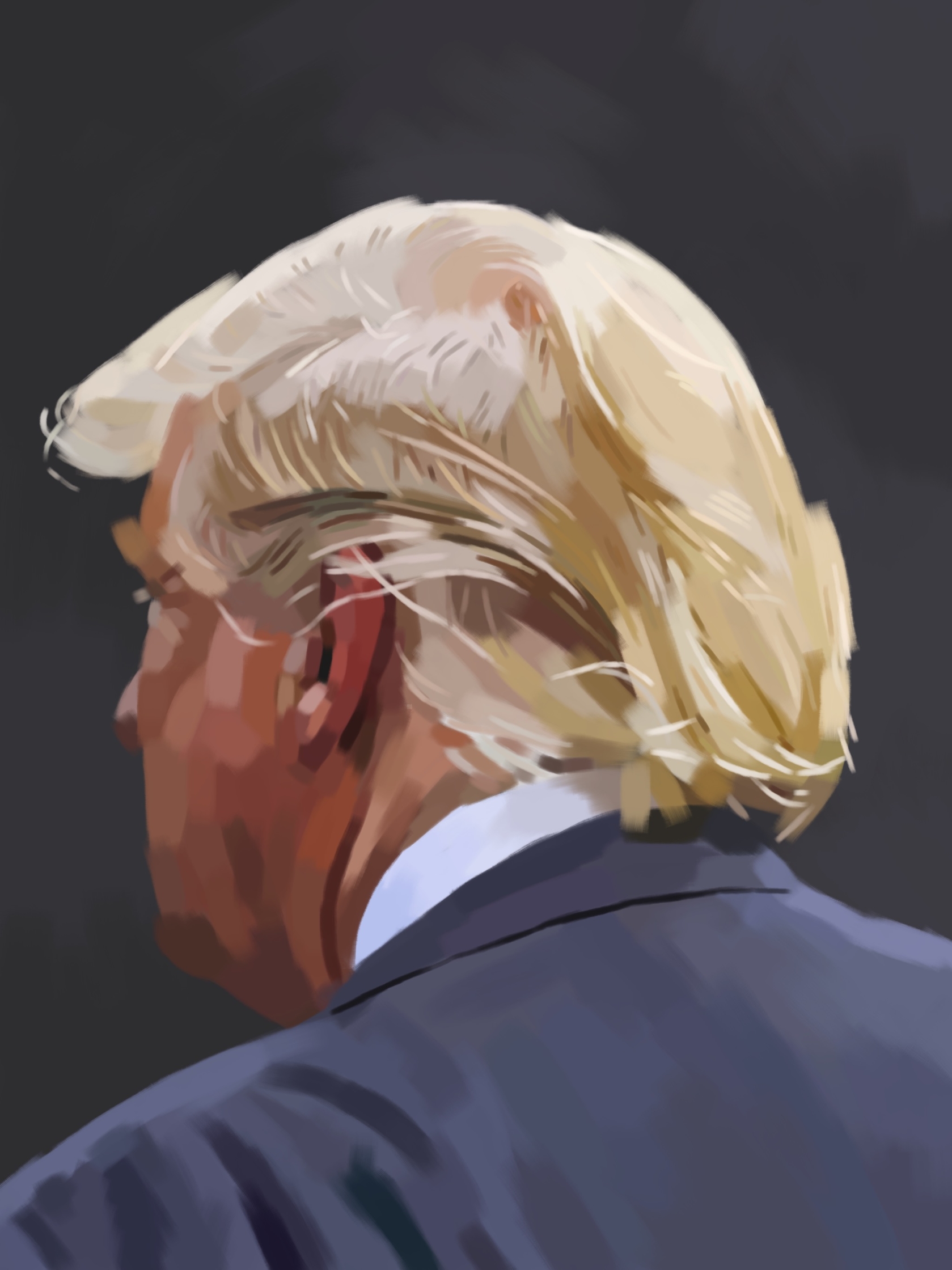 'Trump_Hair'_iPad.jpg