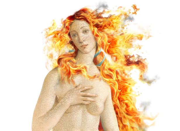 Guardian Menopause supplement - Venus.jpg