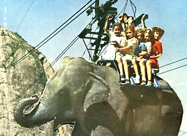 Elephant Cablecar Children Collage