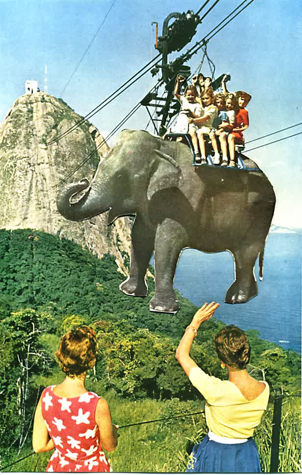 Elephant Cablecar Children Collage