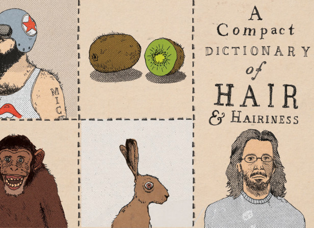 A Compact Dictionary Of Hair