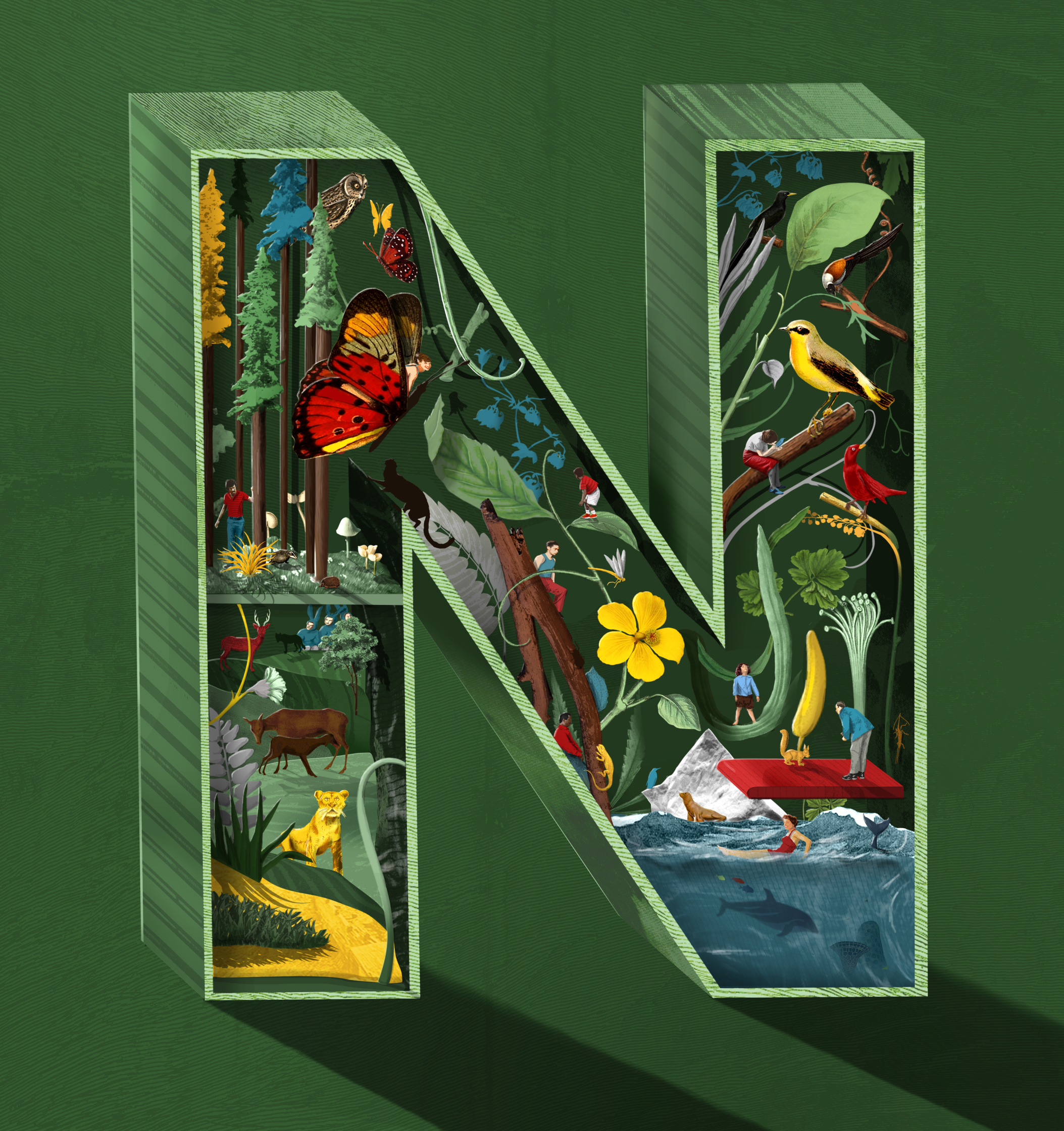 N is for Nature