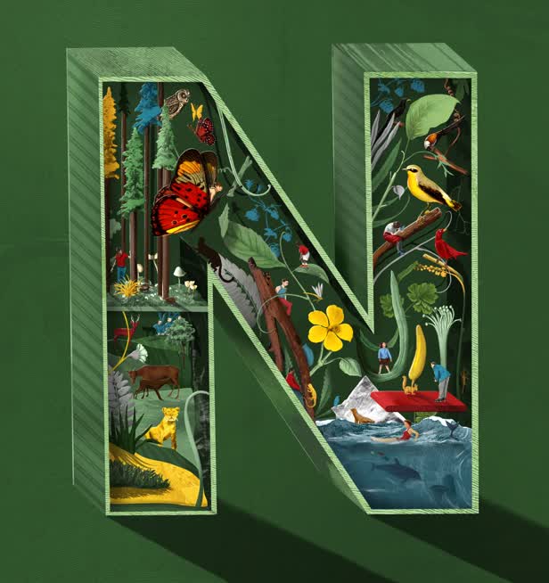 N is for Nature