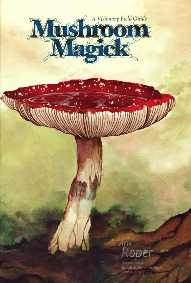 Mushroom Magick / Abrams Books