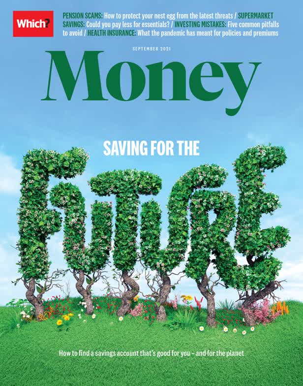 Sustainable Savings Cover / Which Money Magazine