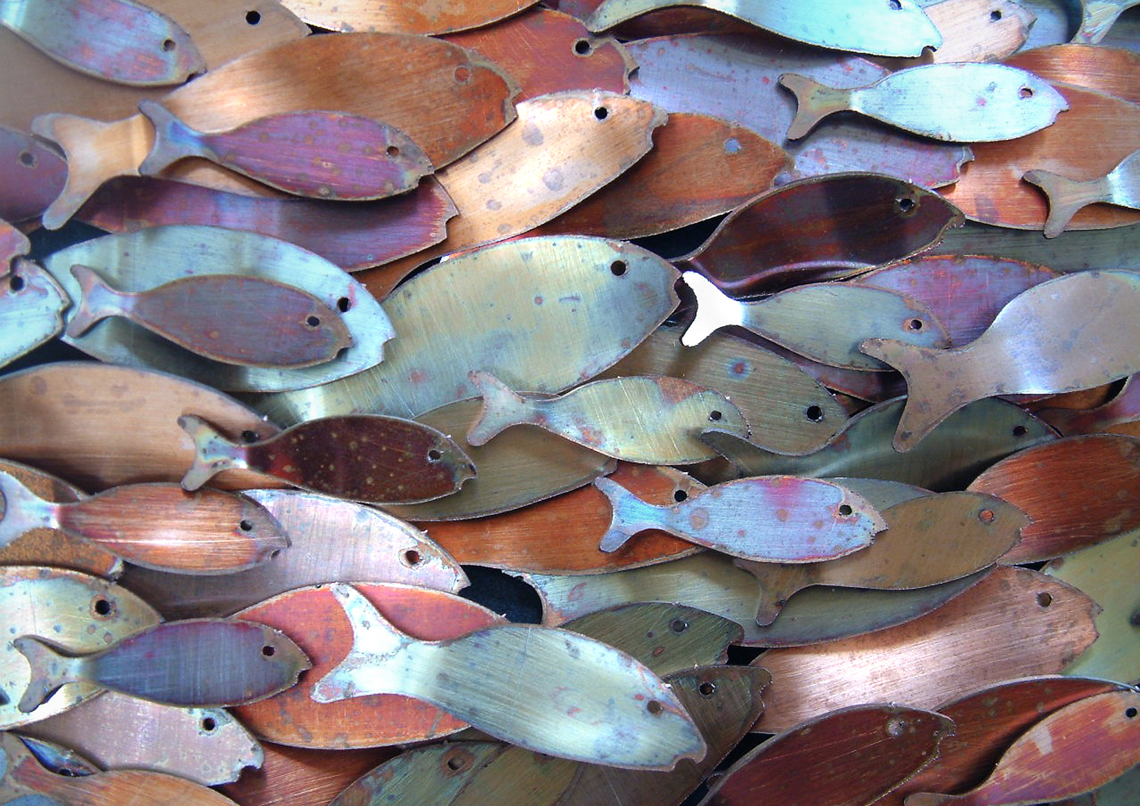 Copper Fish Caymen Islands