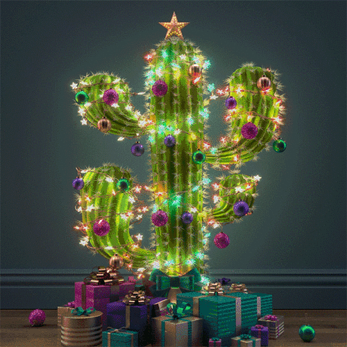 Christmas-Cactus.gif