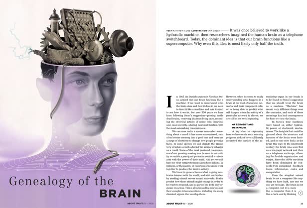 Genealogy of the Brain Main / About Trust Magazine