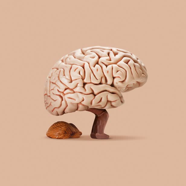 Shitty Idea / Personal