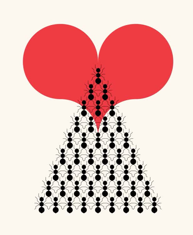 Ants / Harvard Business Review