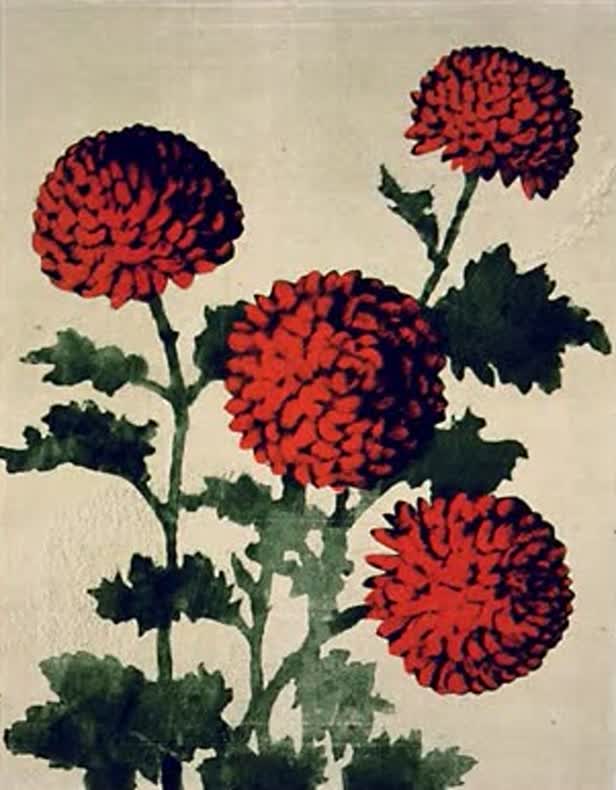 Chrysanthemums