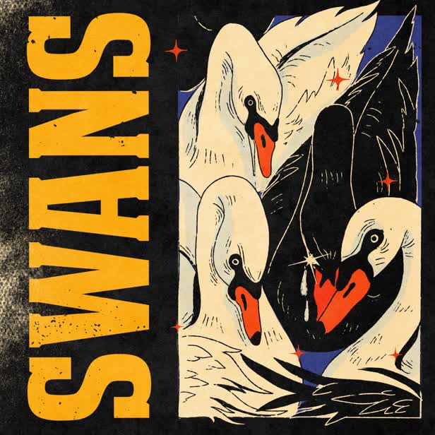 Swans / Personal work