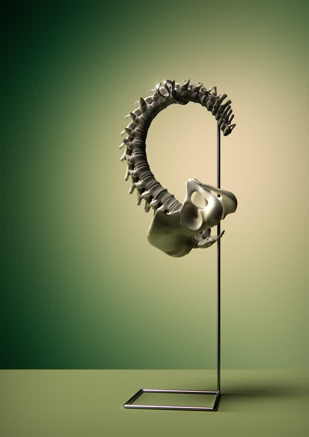 Ear Spine Medical / Men's Health Magazine