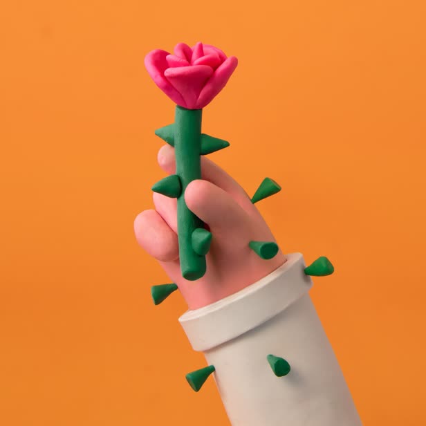 Flowers  / The Telpegraph