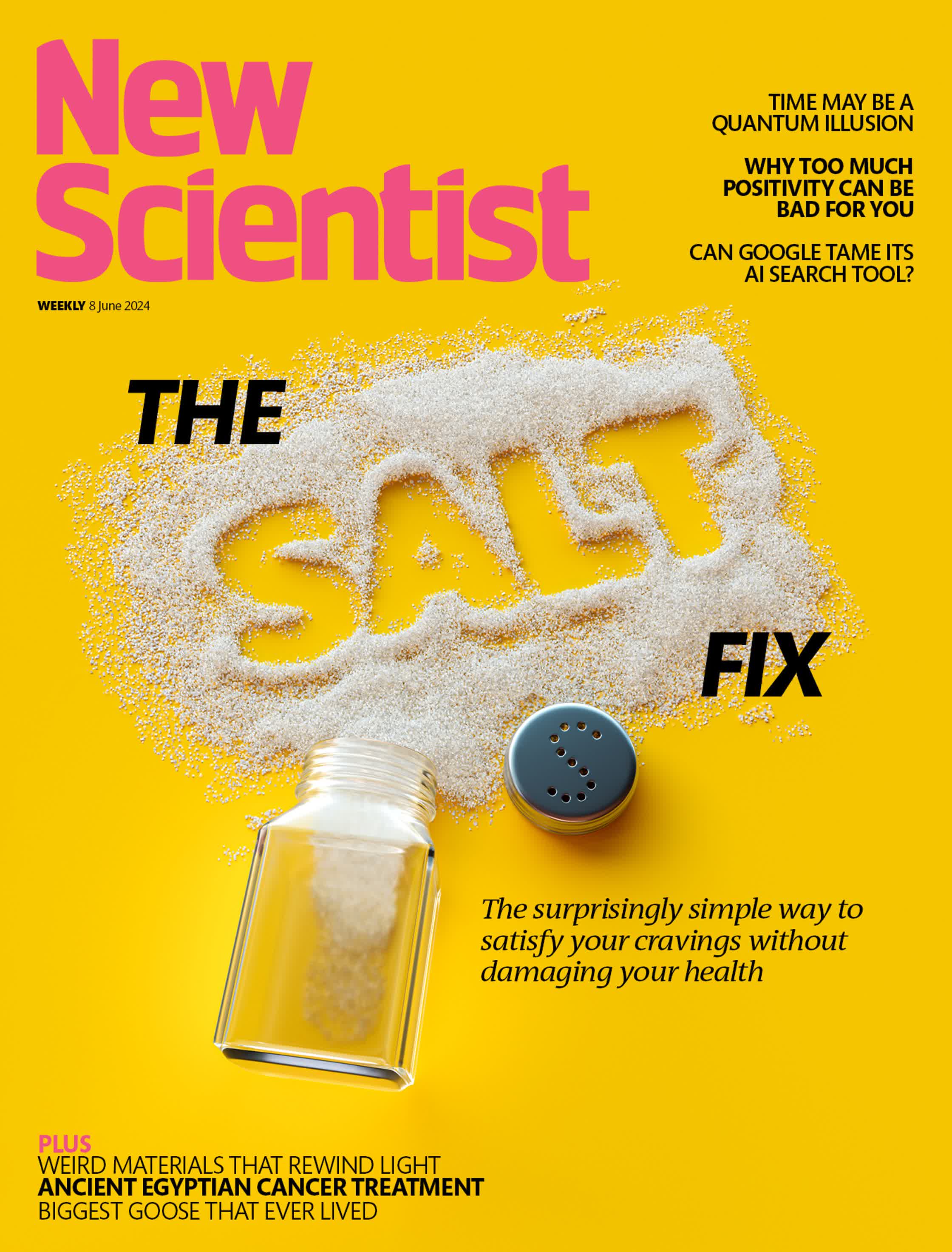 New Scientist cover salt.jpg