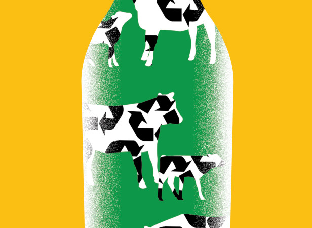 Radio Times_sustainable dairy1.jpg