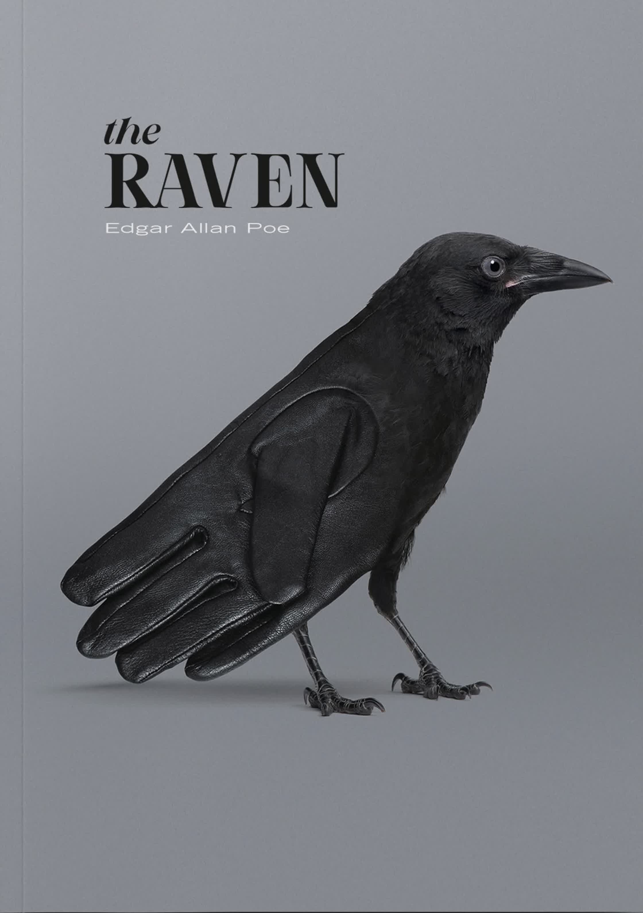 The Raven Book Cover : Personal.jpg