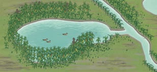Amazonian Maize / Science News