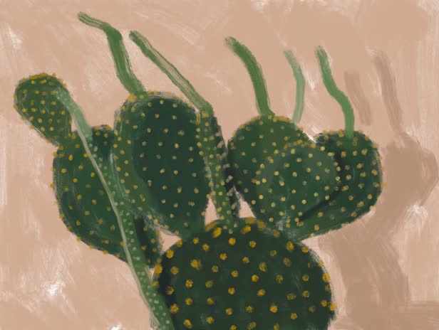 Cactus With Fingers