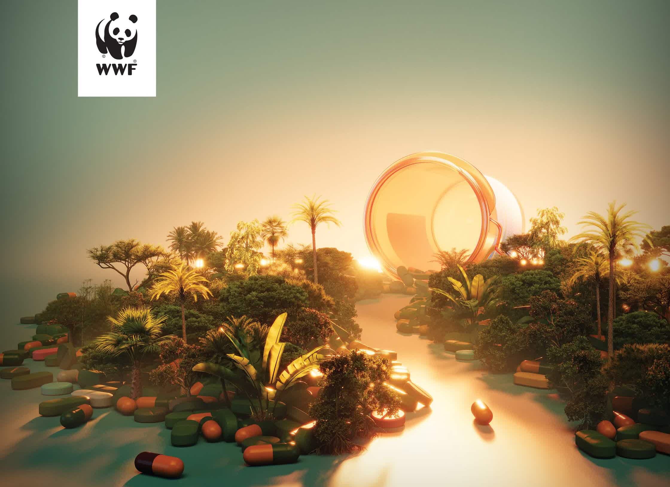 WWF_Rainforest.jpg