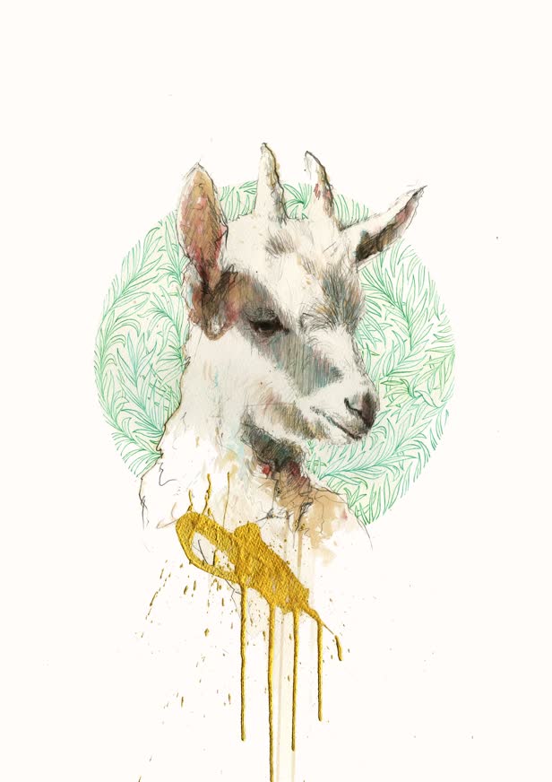 Year of the Goat / Personal work