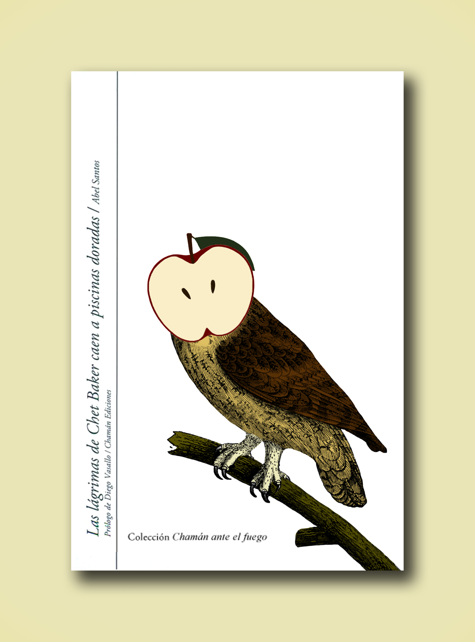 Cover Book.jpg