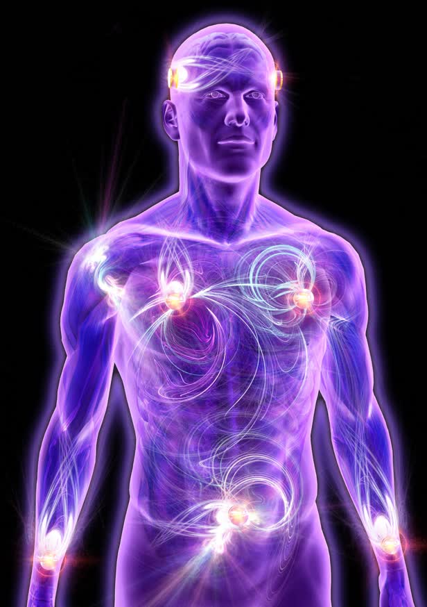 Nerve Anatomy