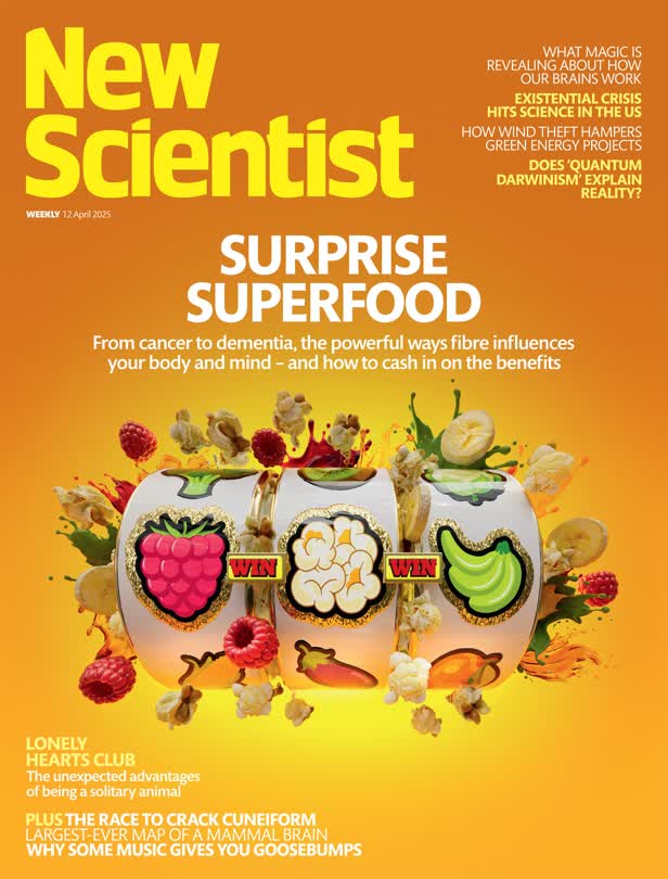 Surprise Superfood cover / New Scientist Magazine